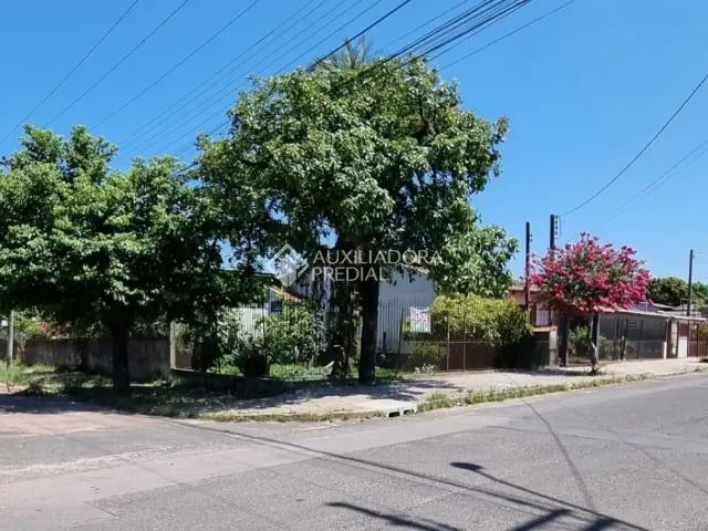 Terreno / Lote para Venda em Alvorada/RS Passo do Feijó