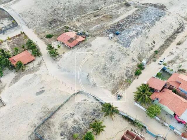 Terreno / Lote para Venda em Amontada/CE Praia de Icairaizinho
