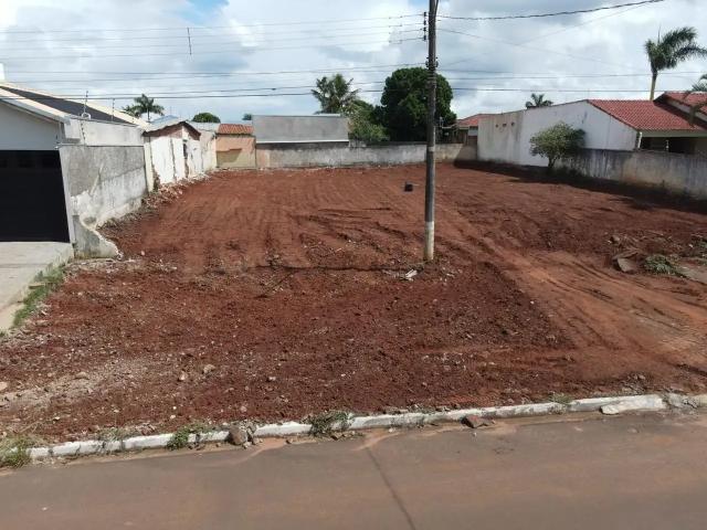 Terreno / Lote para Venda em Amambaí/MS Centro