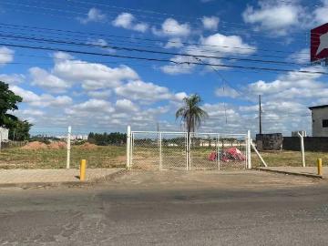 Terreno / Lote para Venda em Americana/SP Vila Bertini
