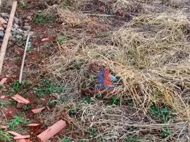 Terreno / Lote para Venda em Americana/SP Jardim Bela Vista