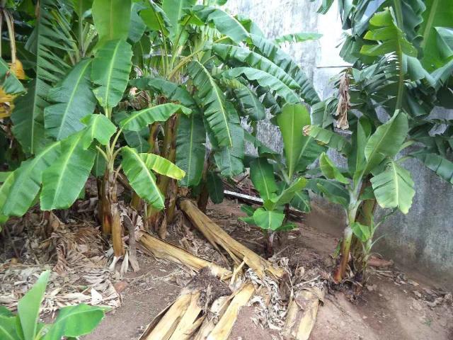 Terreno / Lote para Venda em Americana/SP Jardim Bela Vista
