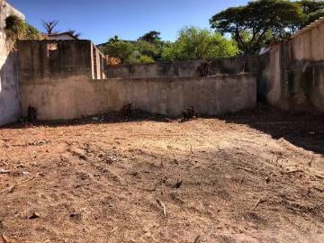 Terreno / Lote para Venda em Americana/SP Jardim Bela Vista