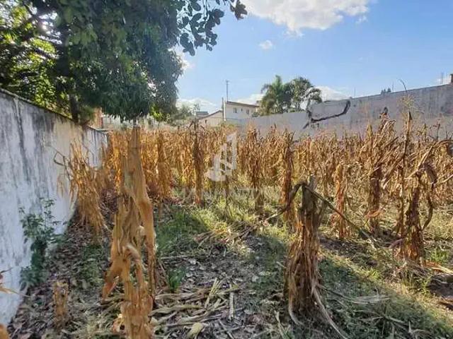 Terreno / Lote para Venda em Americana/SP Jardim Bela Vista