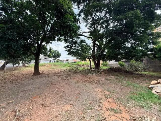 Terreno / Lote para Venda em Americana/SP Jardim Santa Eliza