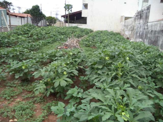 Terreno / Lote para Venda em Americana/SP Jardim Paulistano