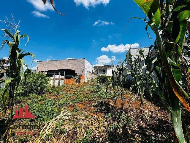 Terreno / Lote para Venda em Americana/SP Jardim Terramérica I