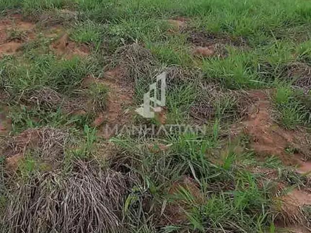 Terreno / Lote para Venda em Americana/SP Loteamento Residencial e Comercial Bairro Pacaembu
