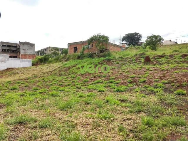 Terreno / Lote para Venda em Americana/SP Loteamento Residencial Jardim dos Pinheiros