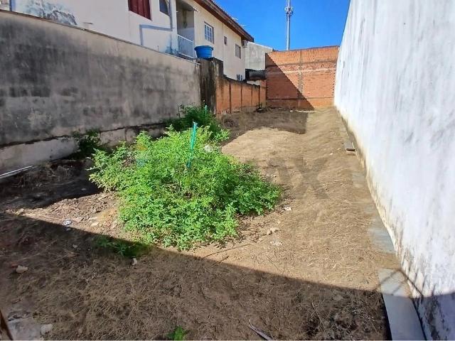Terreno / Lote para Venda em Americana/SP Residencial Vale das Nogueiras