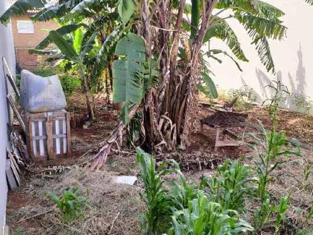 Terreno / Lote para Venda em Americana/SP Residencial Horto Florestal Jacyra I