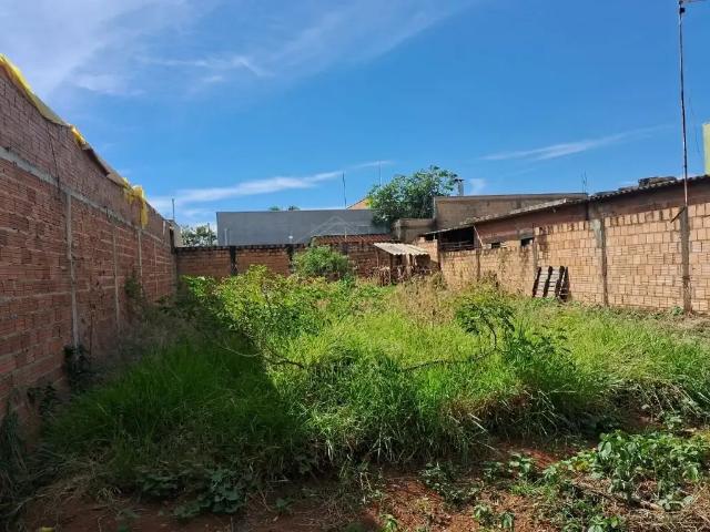 Terreno / Lote para Venda em Américo Brasiliense/SP Residencial Aliança