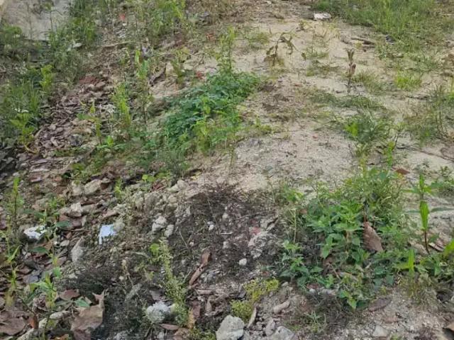 Terreno / Lote para Venda em Amparo/SP Centro