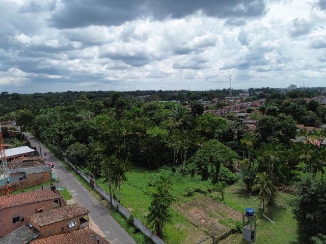 Terreno / Lote para Venda em Ananindeua/PA Águas Brancas