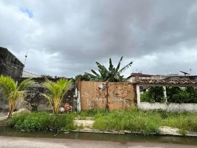 Terreno / Lote para Venda em Ananindeua/PA Distrito Industrial