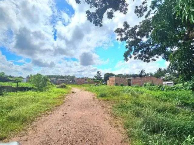 Terreno / Lote para Venda em Ananindeua/PA Quarenta Horas Coqueiro
