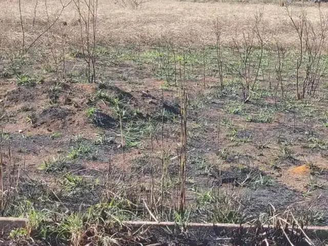 Terreno / Lote para Venda em Anápolis/GO Distrito Agroindustrial de Anápolis