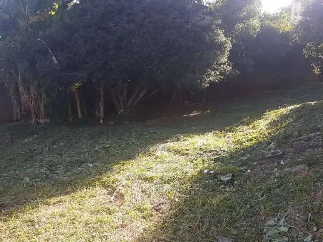 Terreno / Lote para Venda em Anápolis/GO Jardim Alexandrina