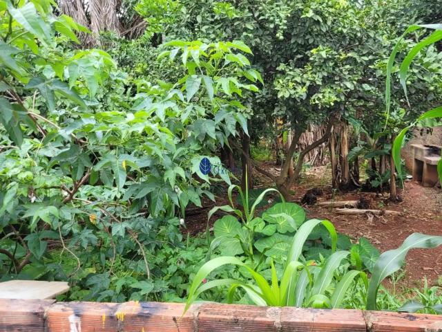 Terreno / Lote para Venda em Anápolis/GO Jardim dos Ipês