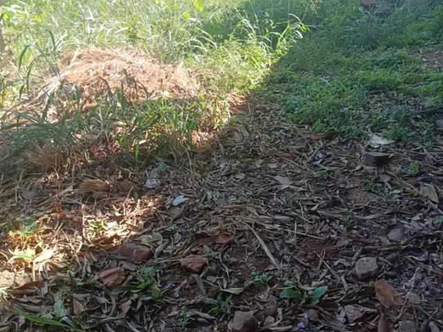 Terreno / Lote para Venda em Anápolis/GO Jardim Santana