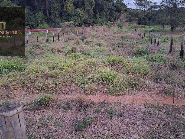 Terreno / Lote para Venda em Anápolis/GO Residencial Flamboyant