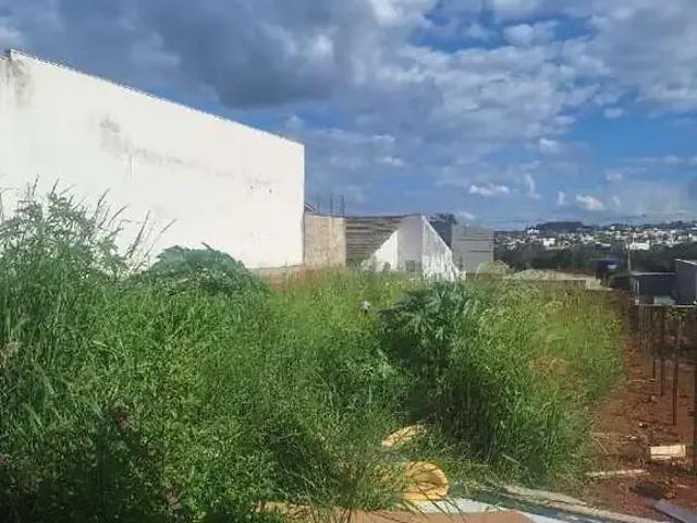 Terreno / Lote para Venda em Anápolis/GO Residencial Flor do Cerrado