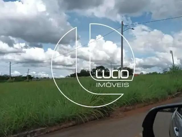 Terreno / Lote para Venda em Anápolis/GO Residencial Jardins do Lago