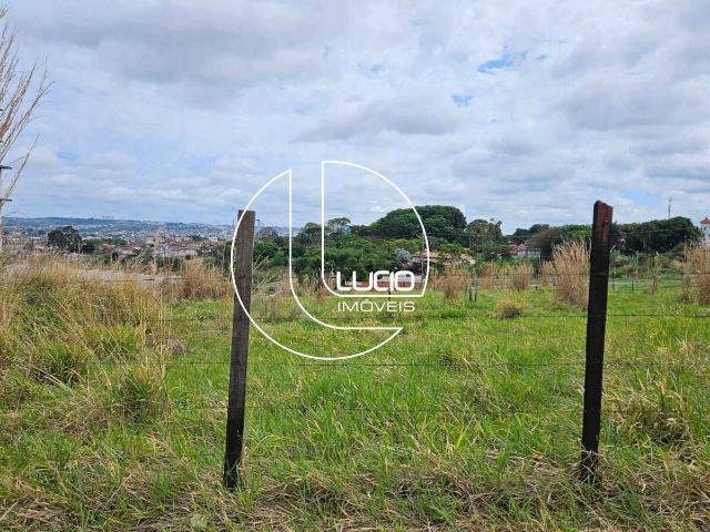 Terreno / Lote para Venda em Anápolis/GO Setor Sul Jamil Miguel