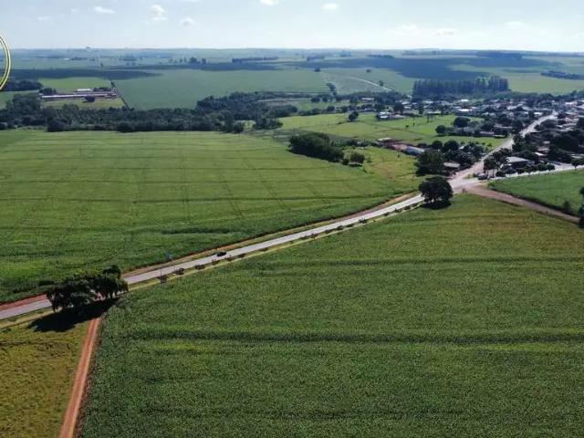 Terreno / Lote para Venda em Ângulo/PR Centro