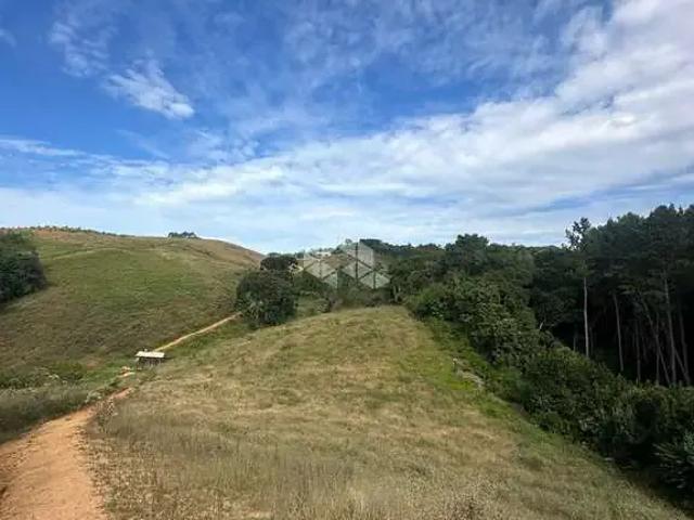 Terreno / Lote para Venda em Angelina/SC Centro