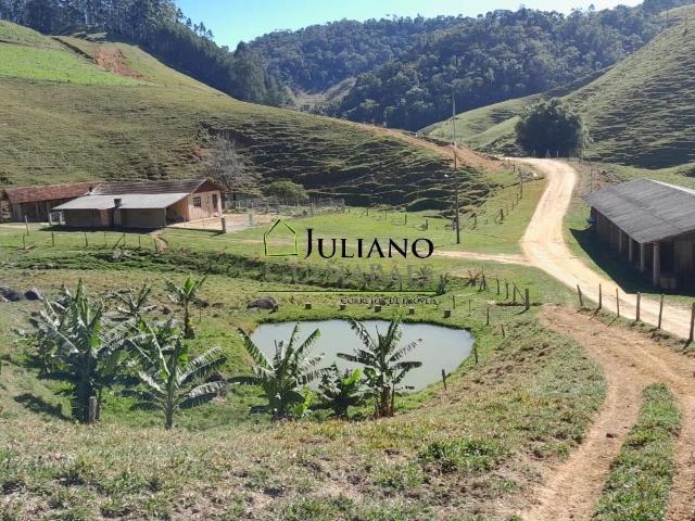 Terreno / Lote para Venda em Angelina/SC Centro