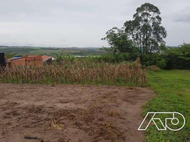 Terreno / Lote para Venda em Anhembi/SP Centro