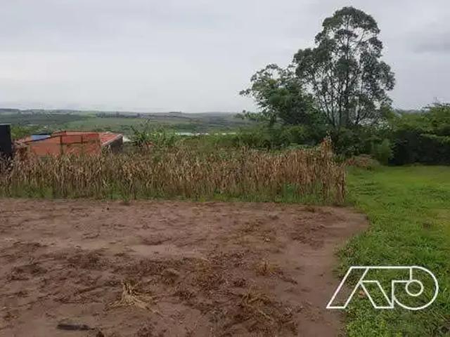 Terreno / Lote para Venda em Anhembi/SP Centro