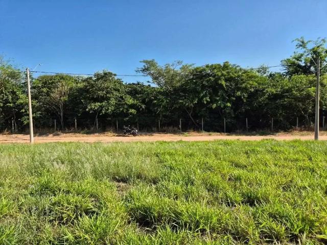 Terreno / Lote para Venda em Anhembi/SP Zona Rural