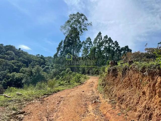 Terreno / Lote para Venda em Anitápolis/SC Rio dos Pinheiros