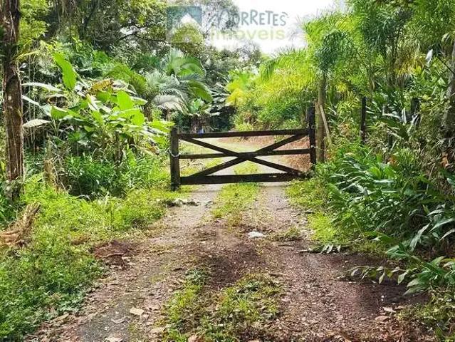 Terreno / Lote para Venda em Antonina/PR Braço da Figueira
