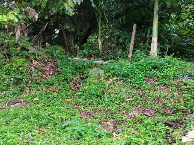 Terreno / Lote para Venda em Antonina/PR Penha