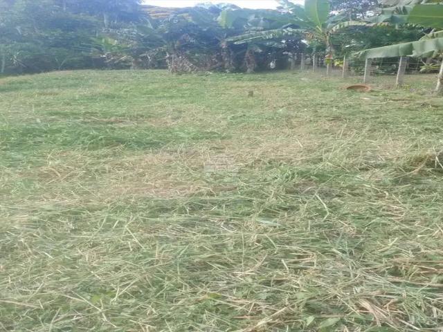 Terreno / Lote para Venda em Antonina/PR Saiva