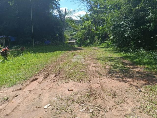 Terreno / Lote para Venda em Antonina/PR Tucunduva