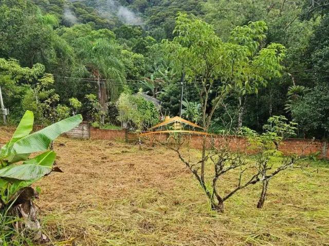 Terreno / Lote para Venda em Antonina/PR Zona Rural