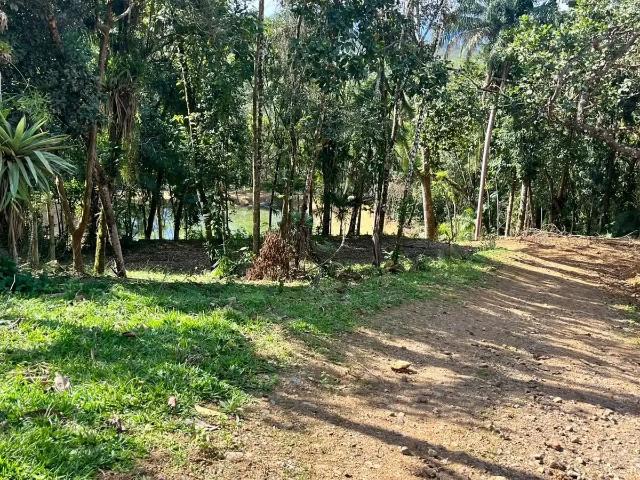 Terreno / Lote para Venda em Morretes/PR Zona Rural