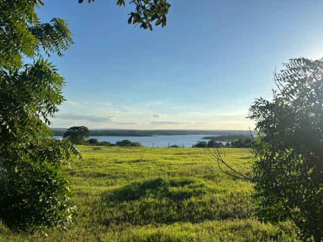 Terreno / Lote para Venda em Antônio Cardoso/BA Centro
