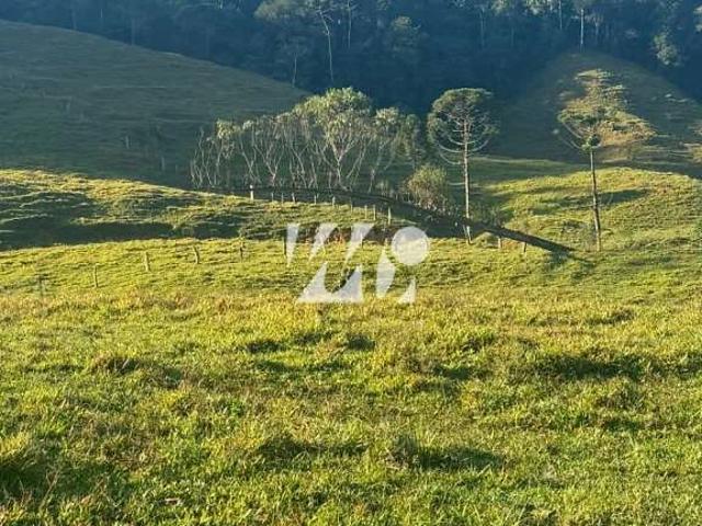 Terreno / Lote para Venda em Antônio Carlos/SC Área Rural de Antônio Carlos