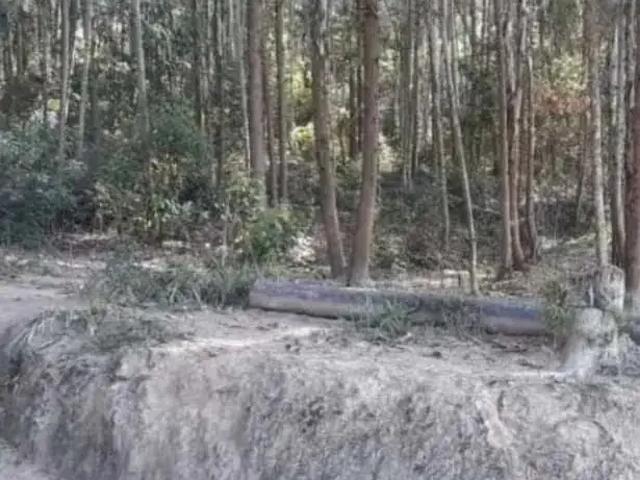 Terreno / Lote para Venda em Antônio Dias/MG Zona Rural