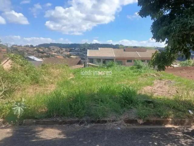 Terreno / Lote para Venda em Assaí/PR Recanto Bela Vista