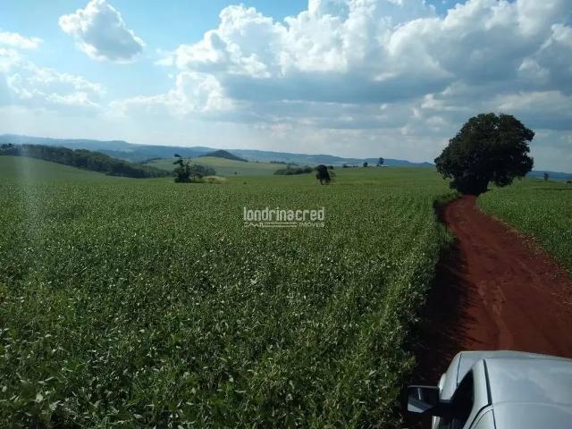 Terreno / Lote para Venda em Assaí/PR Zona Rural