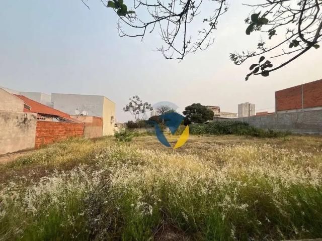 Terreno / Lote para Venda em Assis/SP Centro
