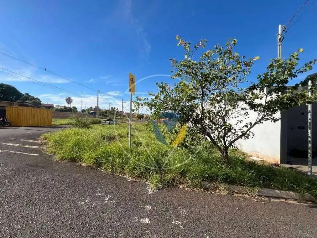 Terreno / Lote para Venda em Assis/SP Vila Ribeiro
