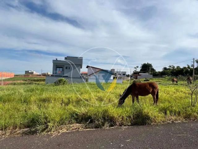 Terreno / Lote para Venda em Assis/SP Vila Ribeiro