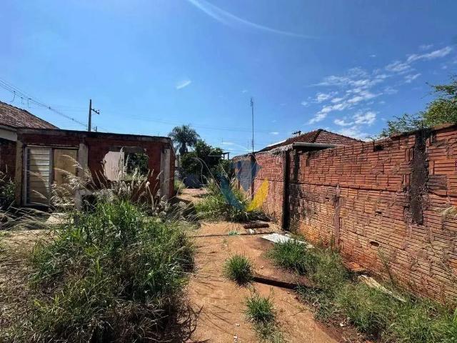 Terreno / Lote para Venda em Assis/SP Vila Ribeiro